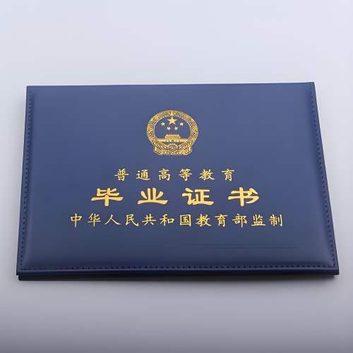 3种学位证书在线定做方案，第2种风险最高